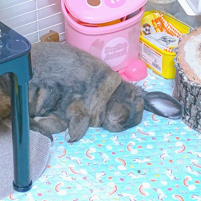 mariaさんの部屋