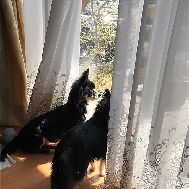 maxsさんの実例写真