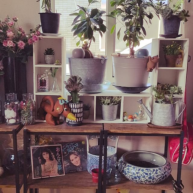 umeboshicyanさんの実例写真