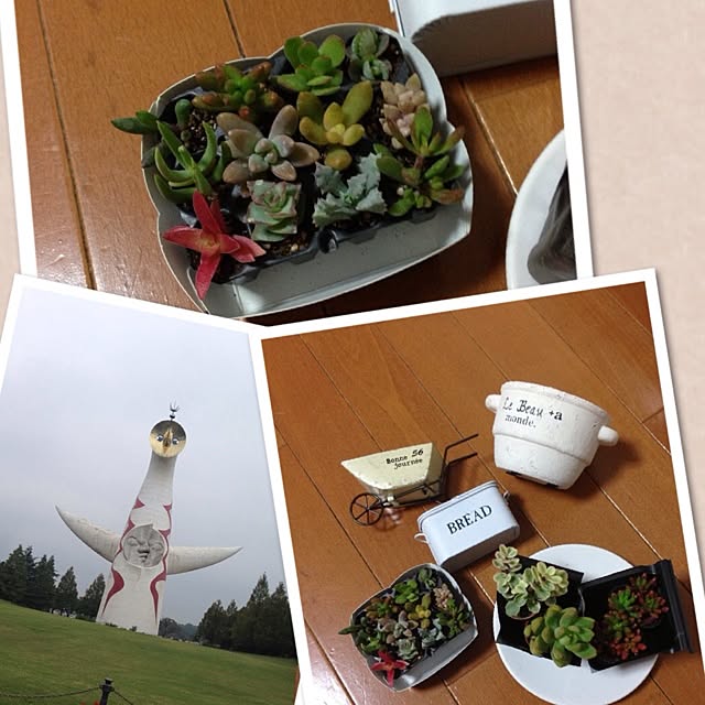 kei.さんの実例写真