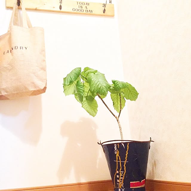 T-A-K-Eさんの実例写真