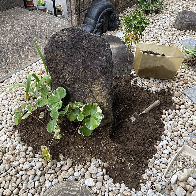 kikiさんの部屋