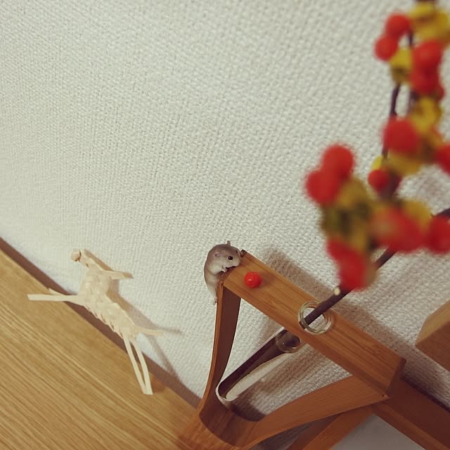 Chamさんの実例写真