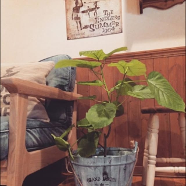 imustanさんの実例写真