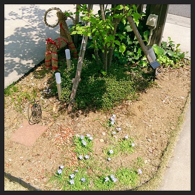 urchinさんの実例写真