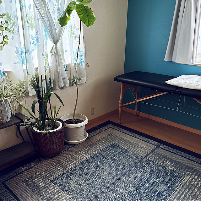 Fumiさんの実例写真