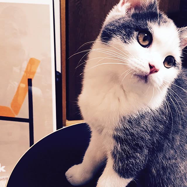 yunさんの実例写真