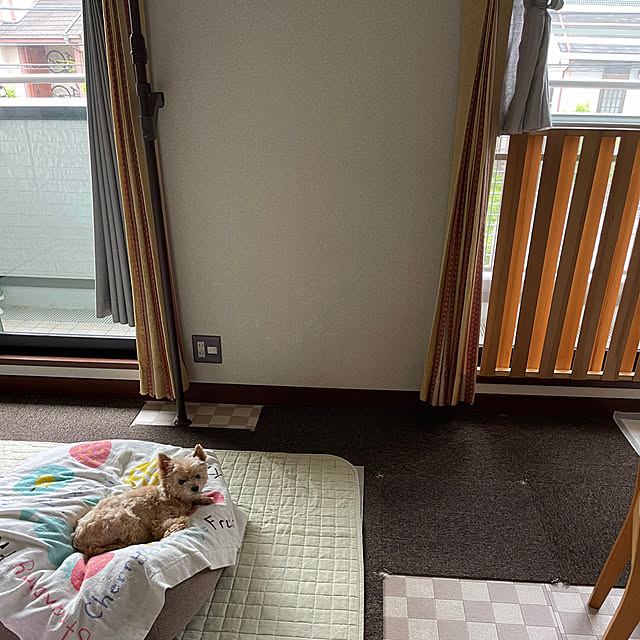 kikiさんの部屋