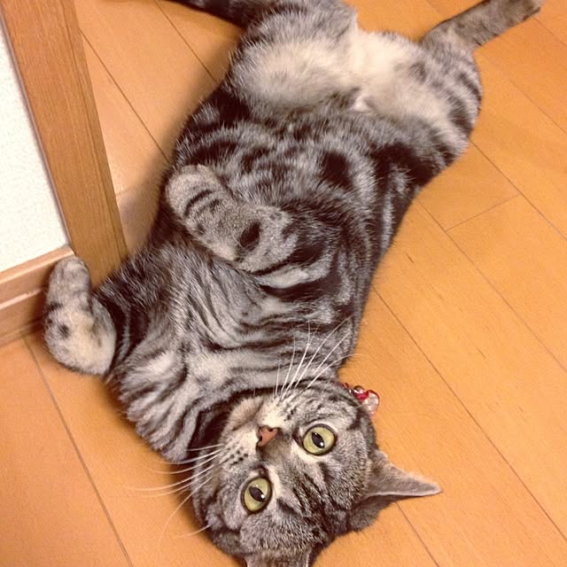 kanade0322さんの実例写真