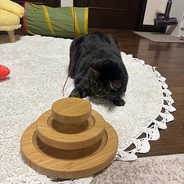 momocchiさんの部屋