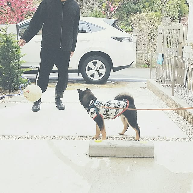 mayuさんの実例写真