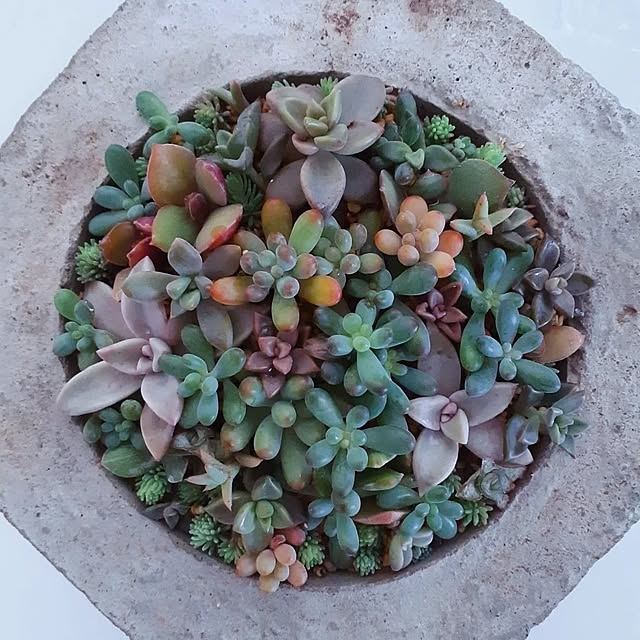 k.and-3さんの部屋