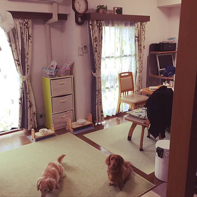 Rallさんの実例写真