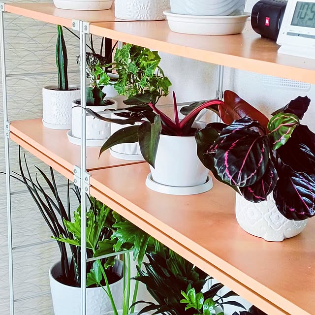 hanachanさんの実例写真