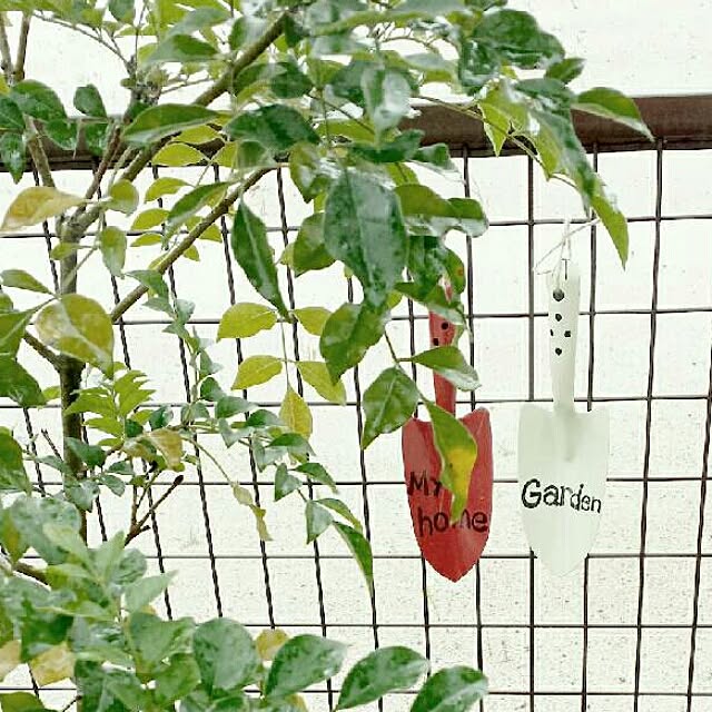 aoiさんの実例写真