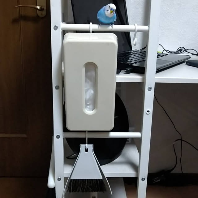 toratanさんの実例写真