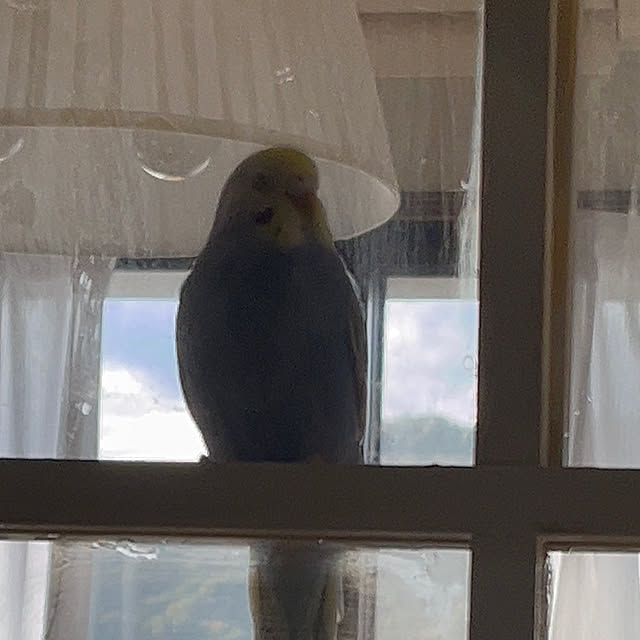 Atsukoさんの部屋