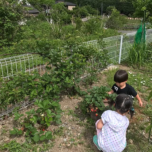 pepeさんの実例写真