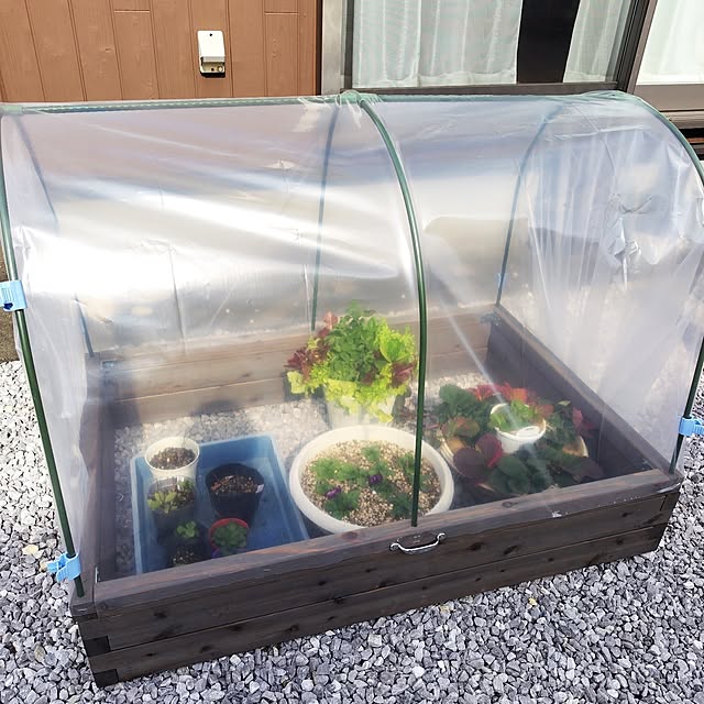 mutsuさんの部屋