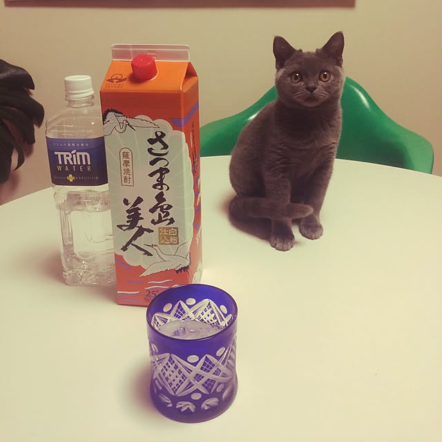 Shojiさんの実例写真