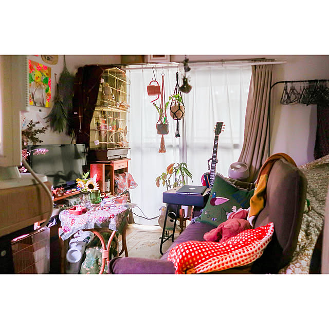 parrotさんの実例写真