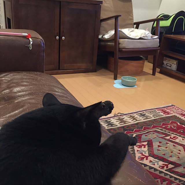 satsuki1605さんの実例写真