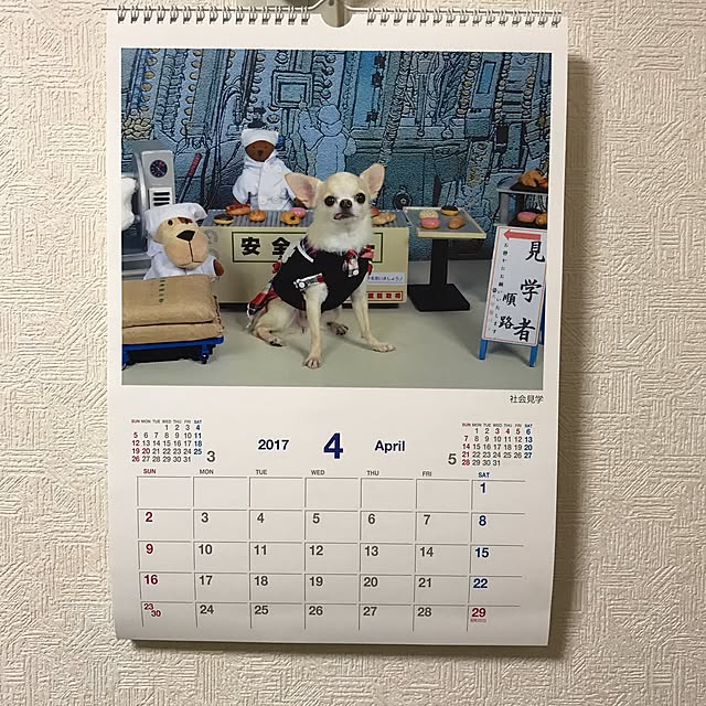 rosemaryさんの実例写真