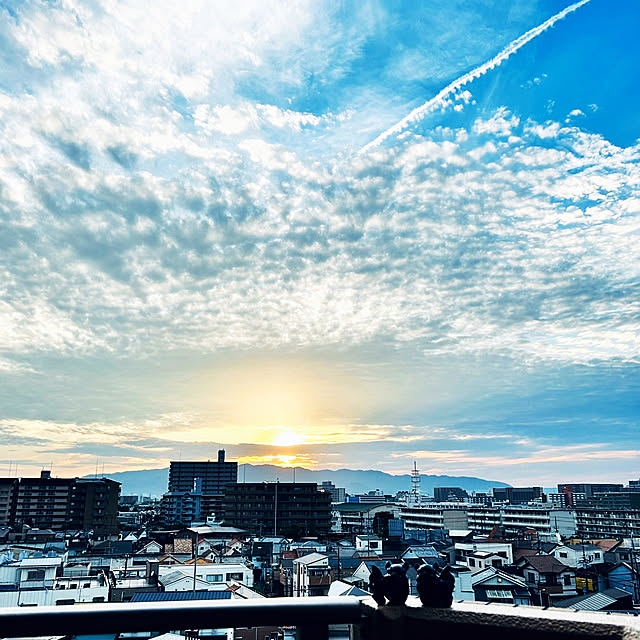 simple_blowbackさんの実例写真