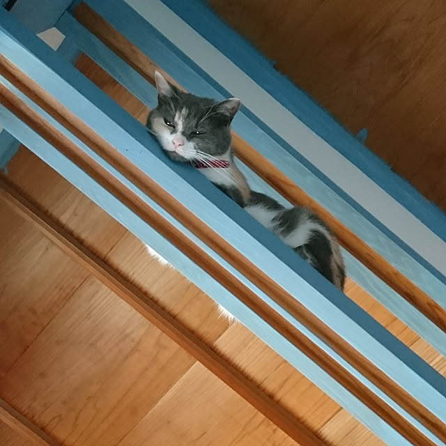 Seikoさんの実例写真