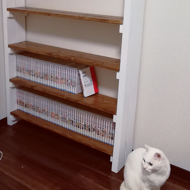 kumaさんの実例写真