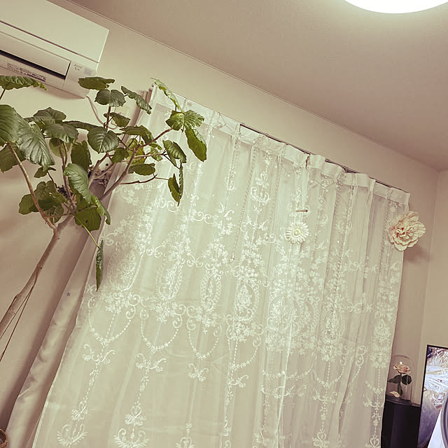 fuu_fuさんの実例写真