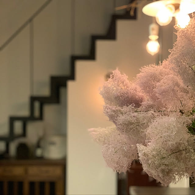 margoandcoさんの実例写真
