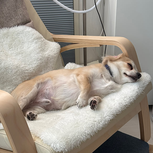 Rainyさんの部屋