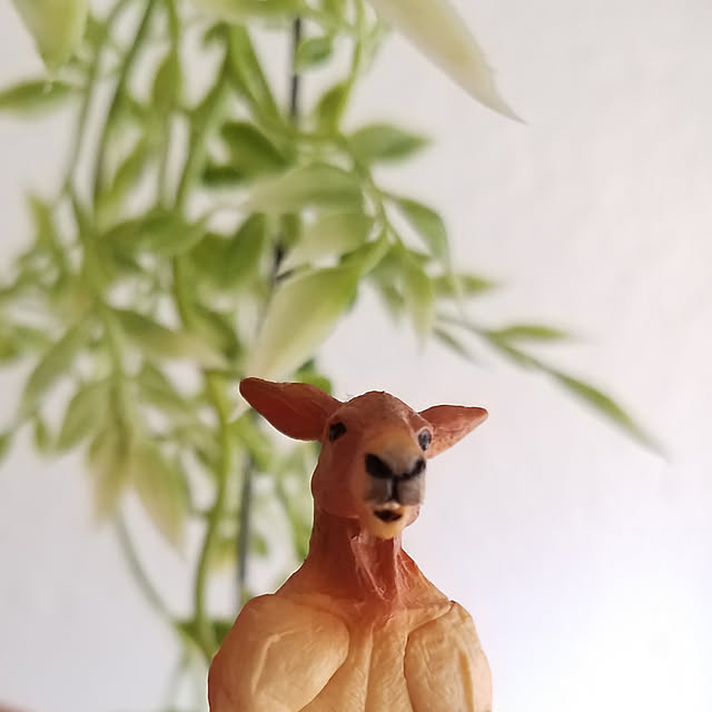 kazuyosi35nさんの実例写真
