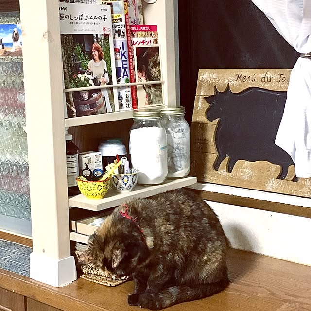 Norikoさんの実例写真