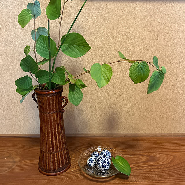 mozukuさんの実例写真