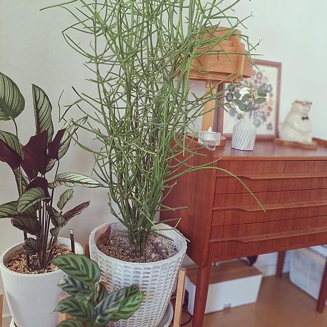 souさんの部屋