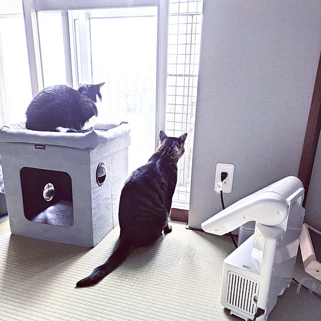 hihaさんの実例写真