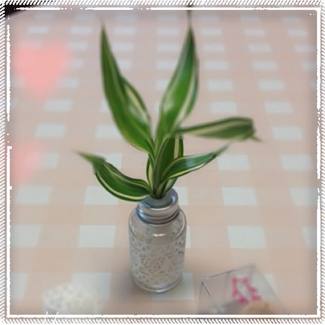 keiko.tさんの実例写真