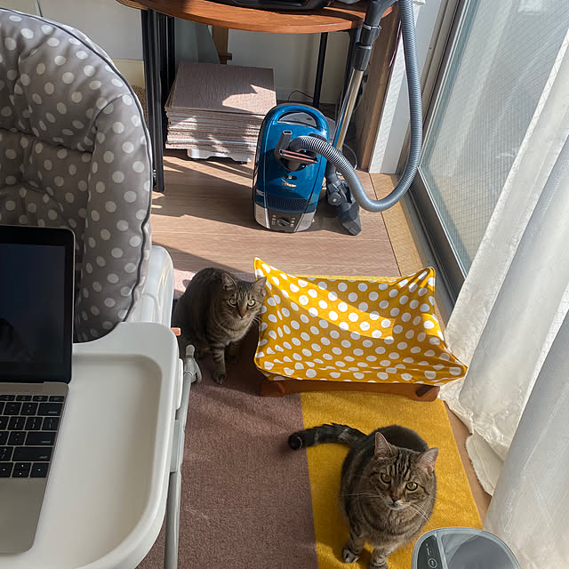 mikomaruさんの実例写真