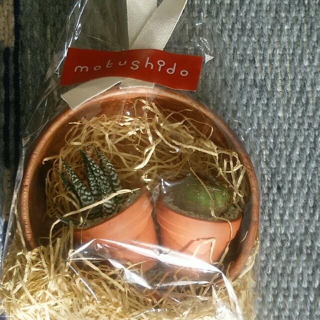 marokoさんの実例写真