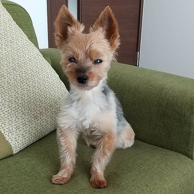 coco0.84.さんの部屋