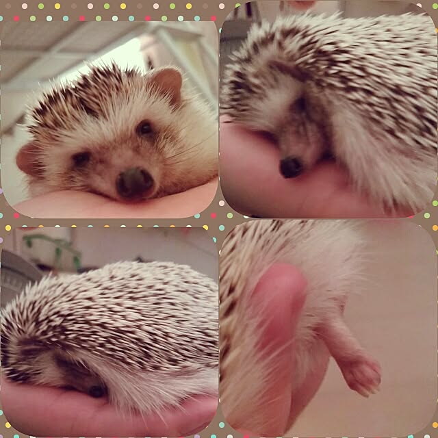 kuruさんの実例写真