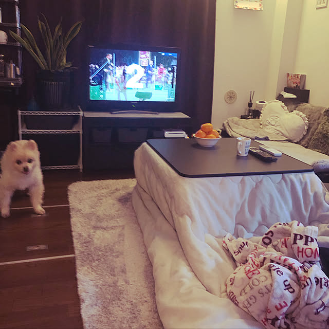 sacchiさんの実例写真