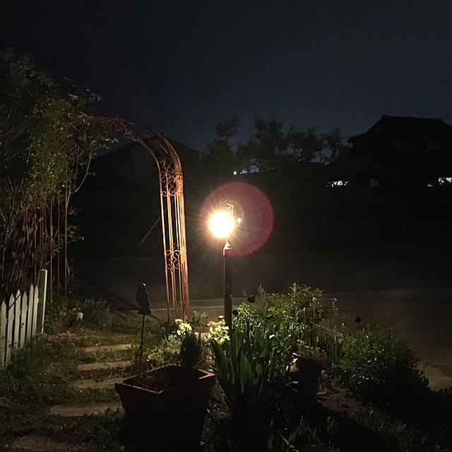 shigimiさんの実例写真