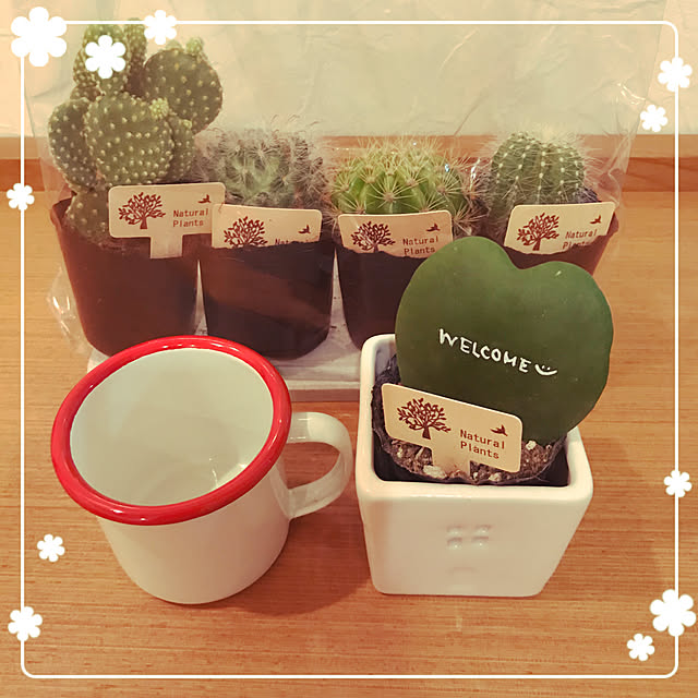 makkoさんの実例写真