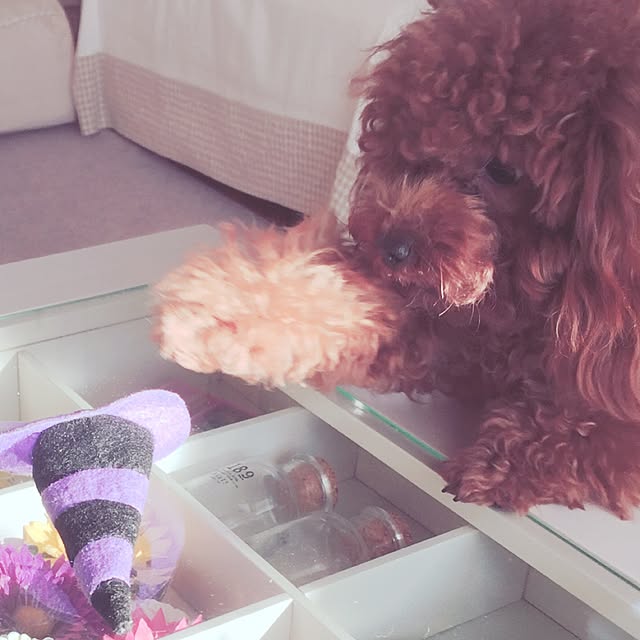 ISM.mumさんの実例写真
