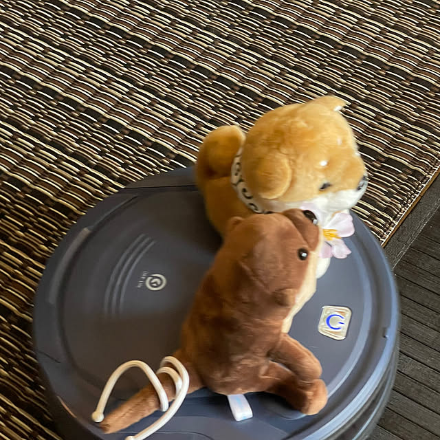 aureaさんの部屋