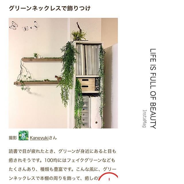 Kaneyukiさんの実例写真