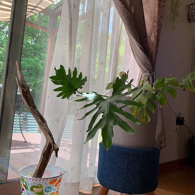 buchibuchi55さんの部屋